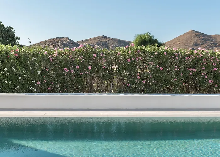 Parilio, A Member Of Design Hotel Naoussa