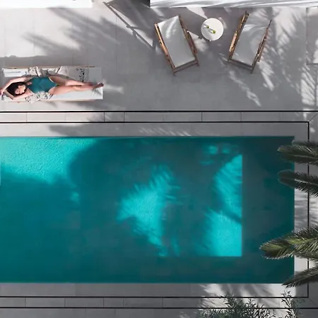 Parilio, A Member Of Design